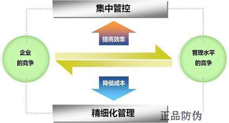 中药材种植管理软件：提升产业效率与品质的新工具